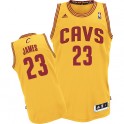 Camiseta NBA Lebron James Cleveland Cavaliers Amarilla