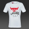 Camiseta Adidas Chicaco Bulls Y BASICS TEE Junior