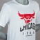 Camiseta Adidas Chicaco Bulls Y BASICS TEE Junior